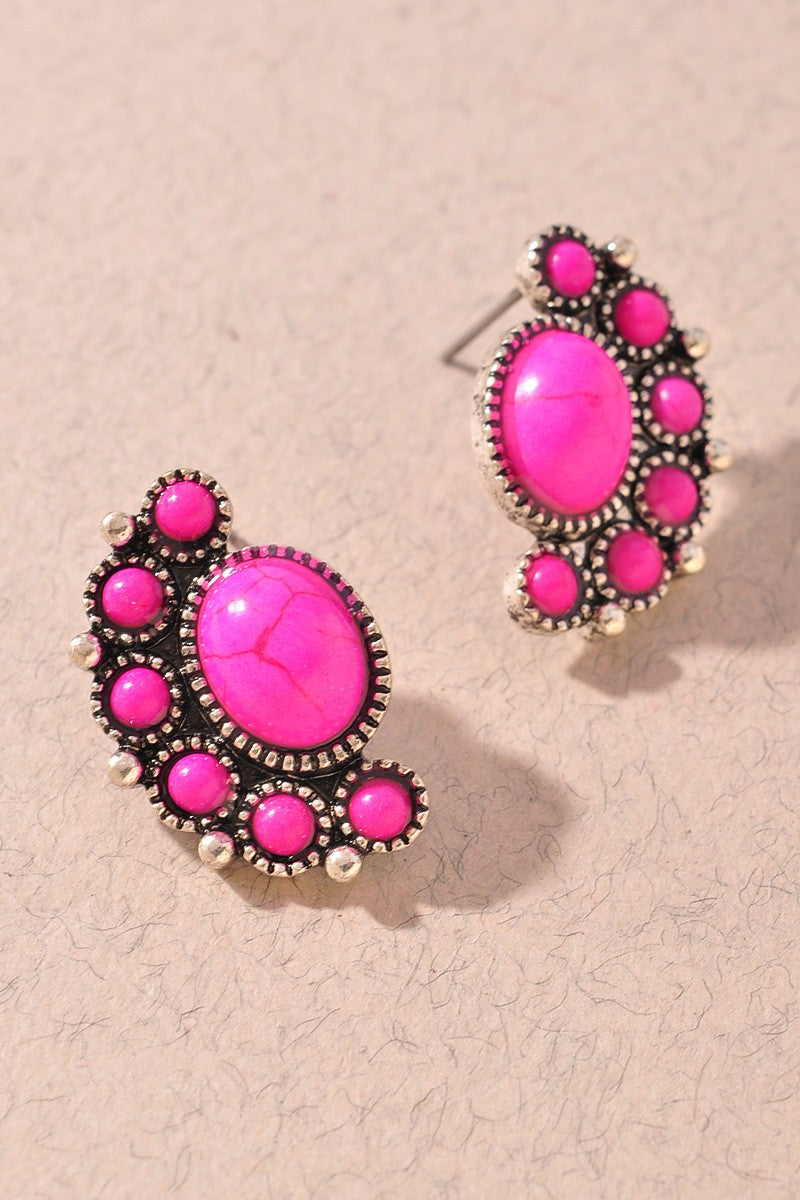 Western Tq Rhinestone Post Earrings