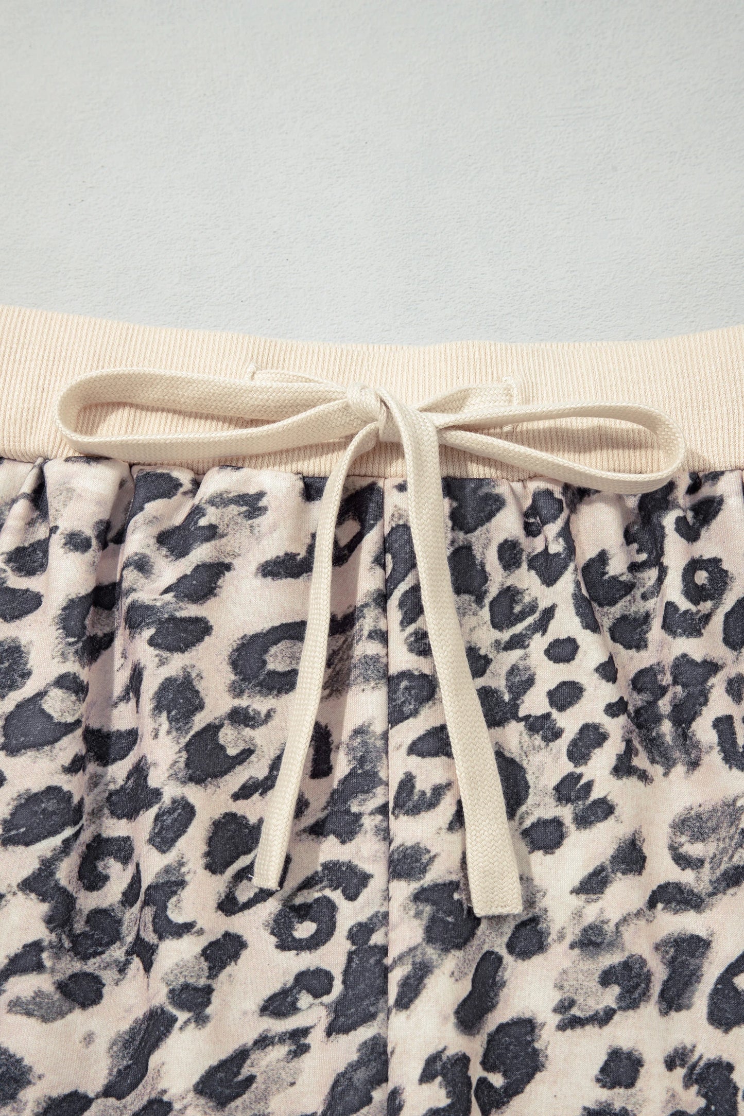 Roar & Relax Zip-Up Hooded Pant Set | S-XL